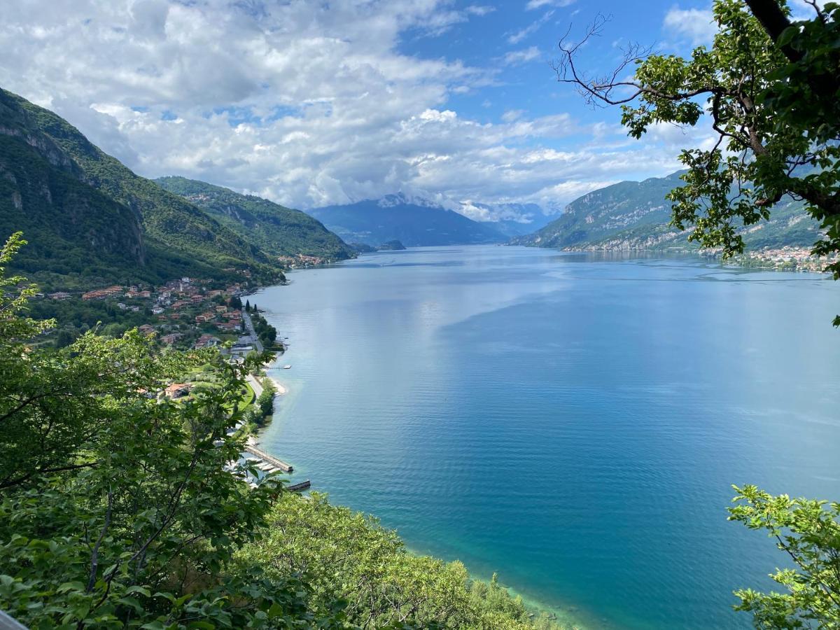 Le Terrazze Sul Lago Di Como Apartment Oliveto Lario Bagian luar foto