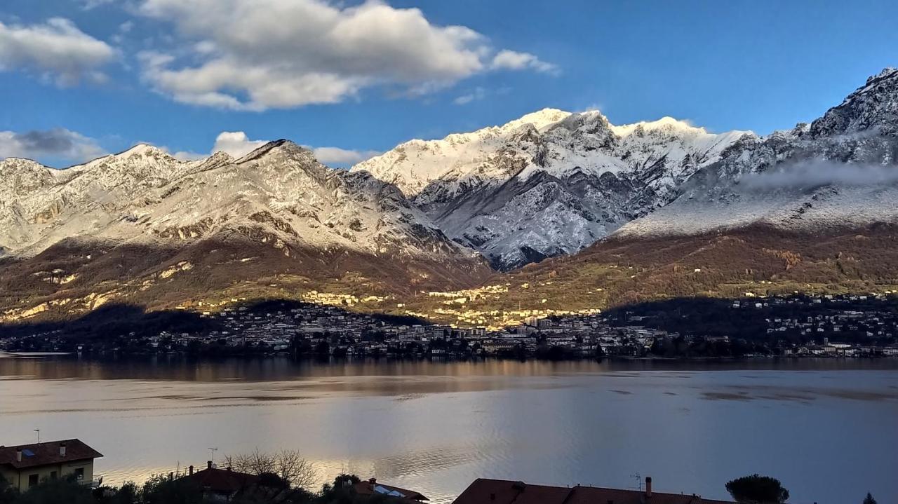 Le Terrazze Sul Lago Di Como Apartment Oliveto Lario Bagian luar foto