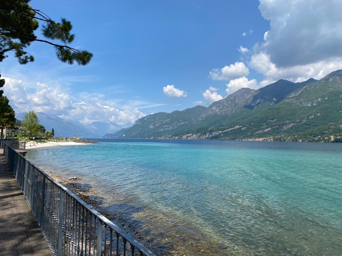 Le Terrazze Sul Lago Di Como Apartment Oliveto Lario Bagian luar foto